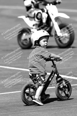 media/Sep-25-2023-Moto Forza (Mon) [[81ffa65e0a]]/Around the Pits/